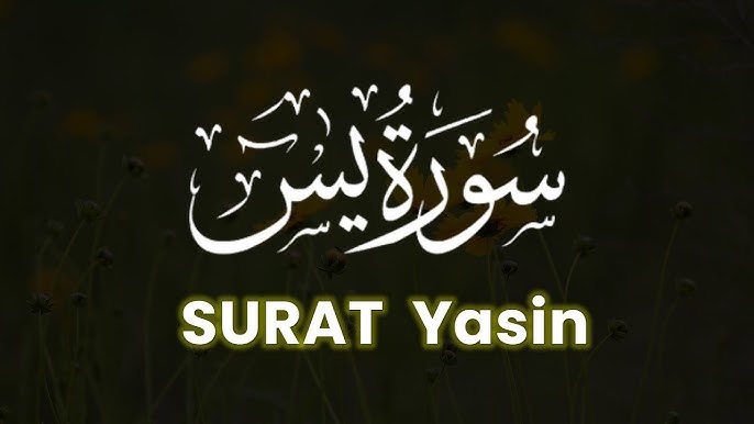 Uchinchi trimestrda homilador ayollar uchun jinsiy pozitsiyalar