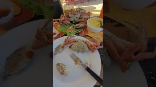 Crab ... Beautiful Beach Town. Please Subscribe