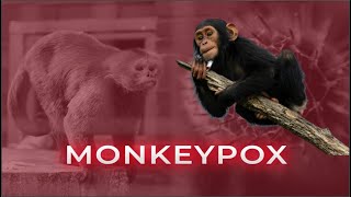 What Is Monkey Pox | Monkey Pox Alert In Pakistan.