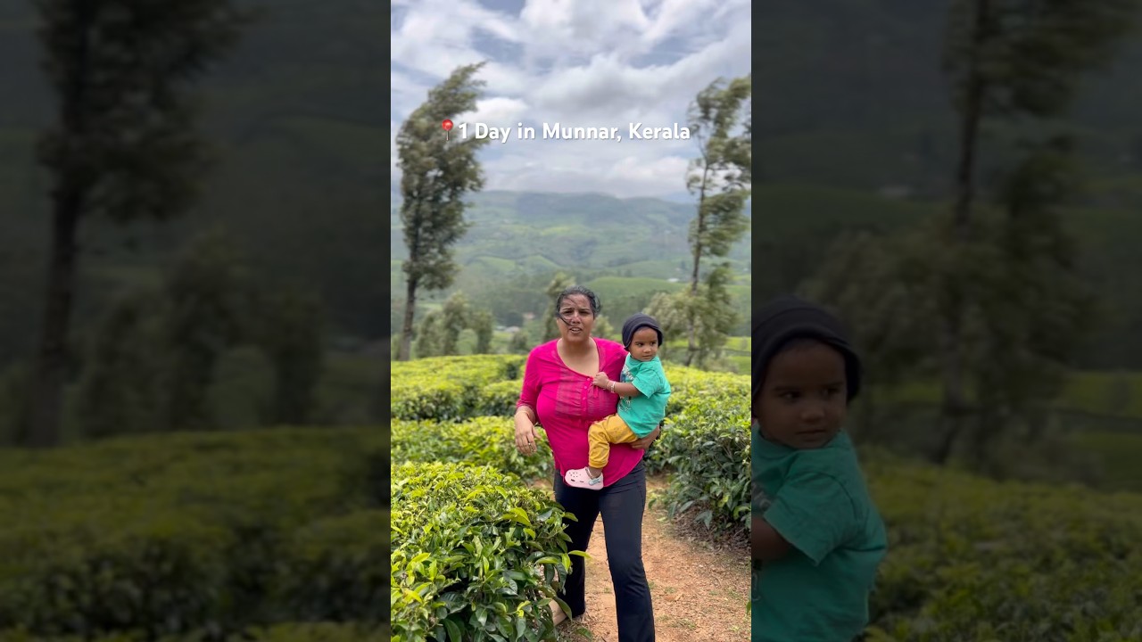 One day trip to Munnar Kerala 