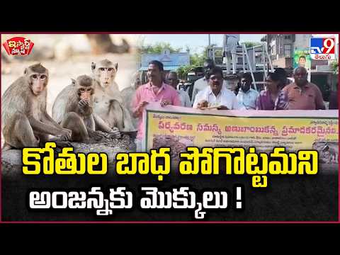 iSmart News | Praying to Lord Anjaneya to End the Monkey Menace! - TV9