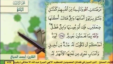 الجزء الثالث 3 - القارئ احمد الدباغ