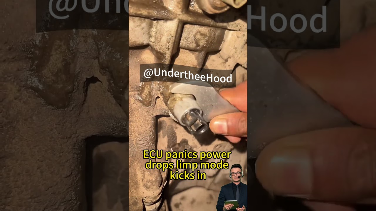 This Tiny Sensor Can Kill Your Engine 😳