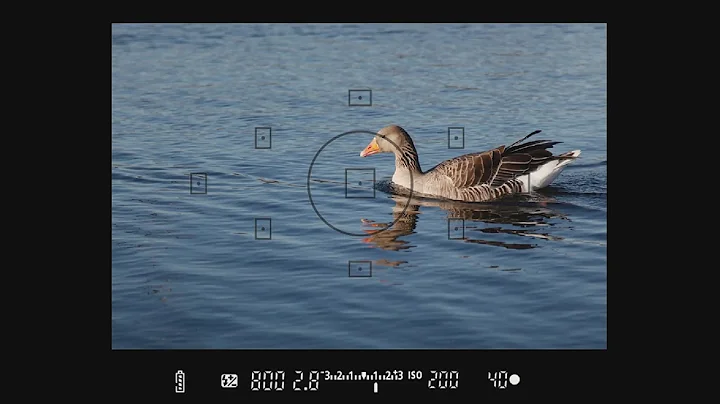 Understanding Your Viewfinder - How to Use Your Camera, Part 9