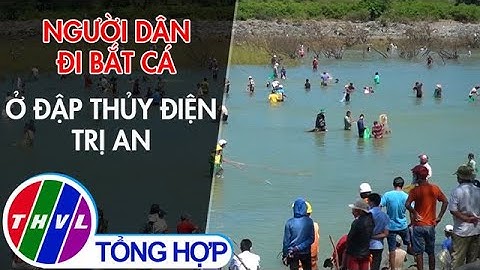 Người dân đi bắt cá ở đập thủy điện Trị An