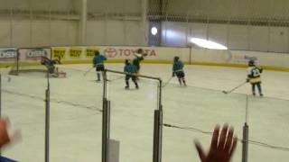 SJ Green Squirts Game 20091220 vs Teal Shift 18