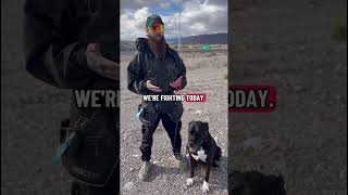 This Tool Saves Aggressive Dogs 👇🏼 #dogshorts #dogtraining #balanceddogtraining