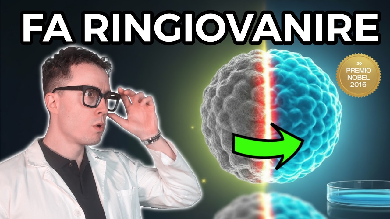 Attiva l’AUTOFAGIA: il processo naturale che rallenta l’invecchiamento