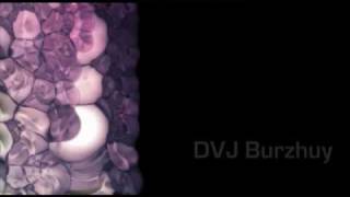 [ dvj clip ] Filthy Rich, James Fitch, DVJ Burzhuy - Lesson One (Gabriel & Castellon Mix)