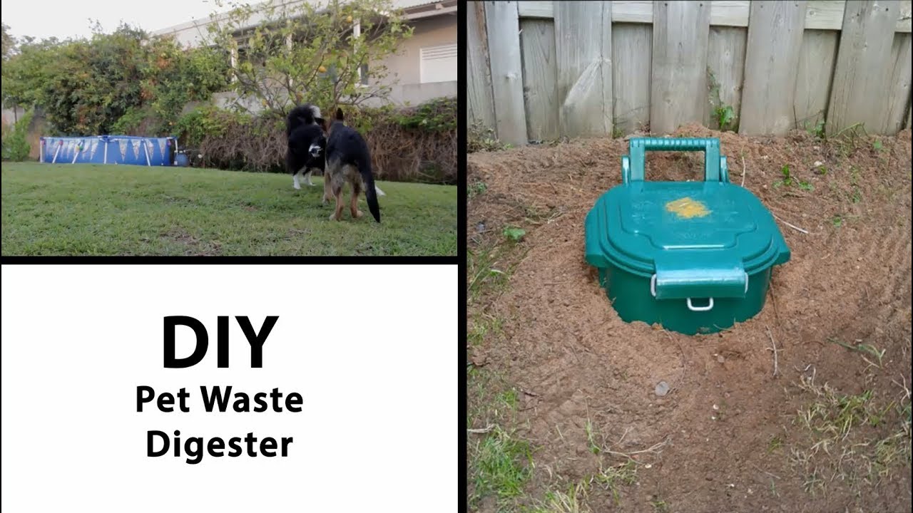Pet Waste Digester For Your Back Yard Youtube