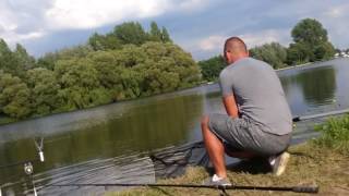 Typowe Branie Leszcza Typical Breaming