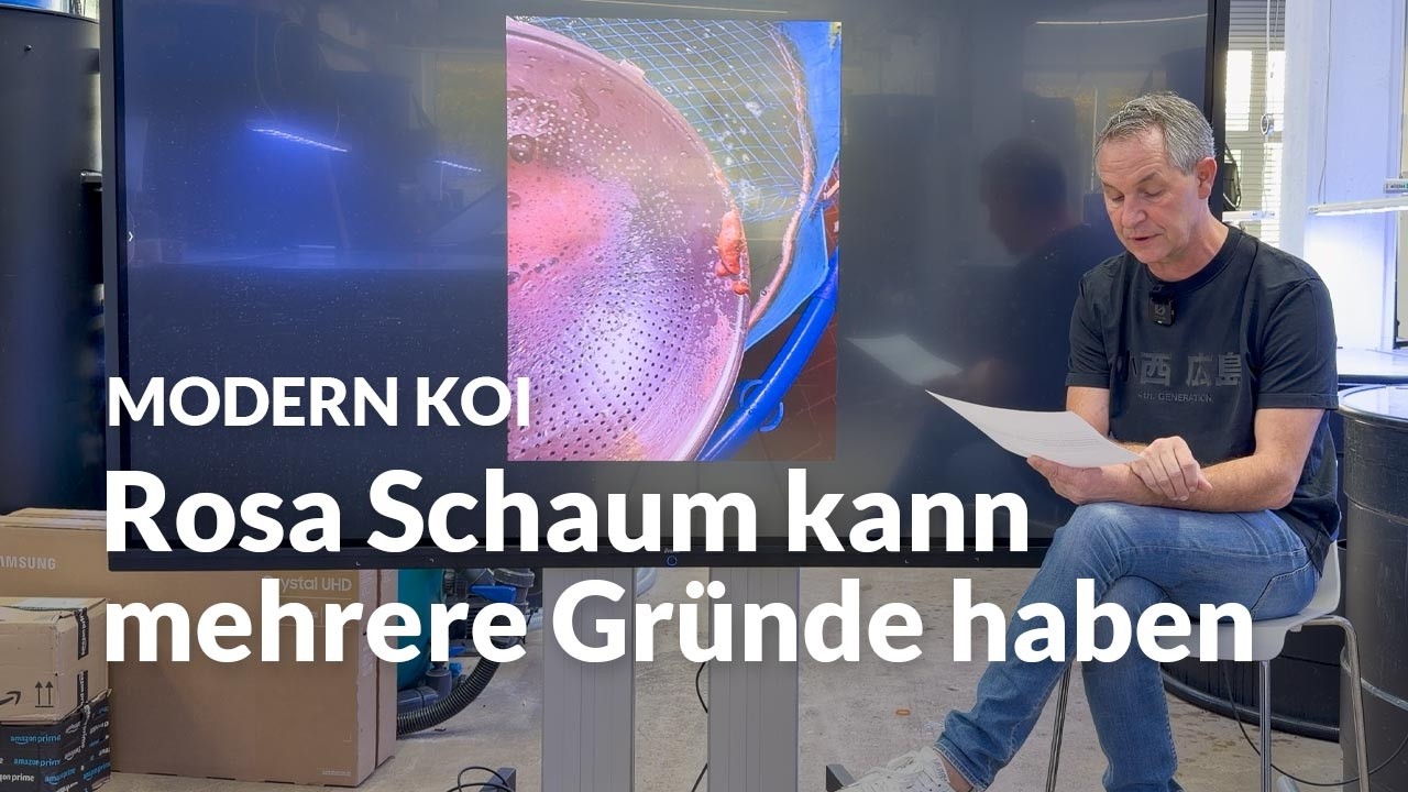 Rosa Schaum im Koiteich: was steckt dahinter? | Modern Koi Blog #7978