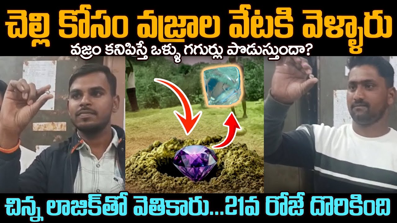 చెల్లి పెళ్లికోసం వెళ్లిన ఇద్దరు స్నేహితులు Hidden Treasure Revealed: ₹60-Lakh Gem Found Inside Mine