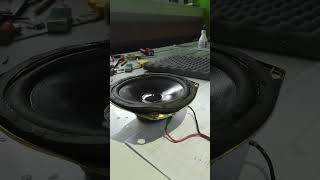 unknown speaker blow out! #bass #basstest #fyp #blowout #excursion #subwoofer