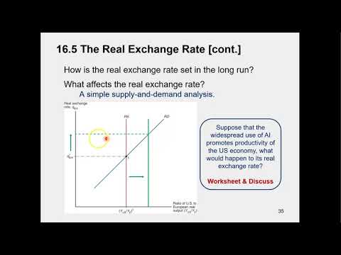 1610 Determinants of Real and Nominal Exchange Rates