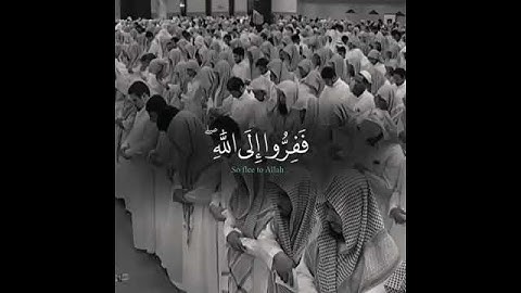 ففروا إلى الله تلاوة للشيخ ياسر الدوسري