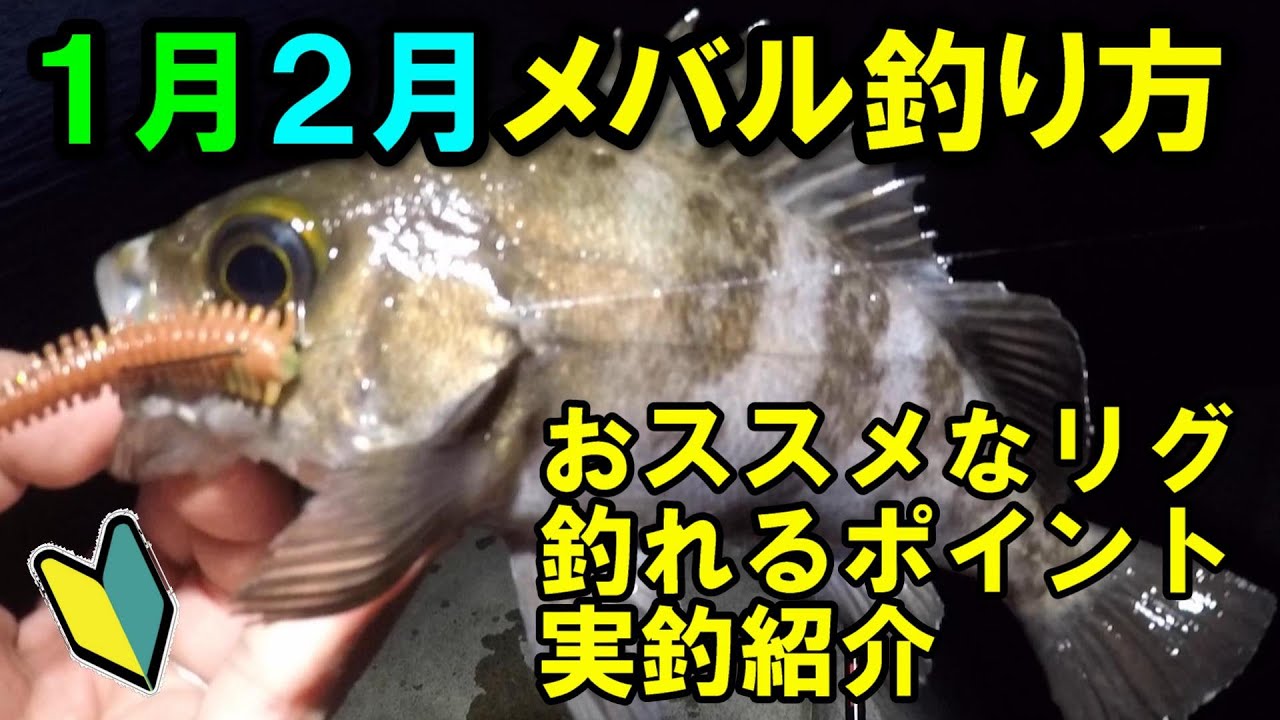 メバルワーム 海底や海藻に付いてジッとしているメバルを釣る方法 ライトキャロの釣り Youtube メバルワーム 海底や海藻に付いてジッとしているメバルを釣る方法 ライトキャロの釣り Youtube