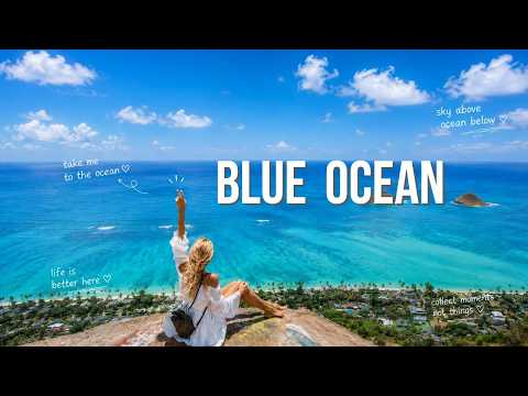 Playlist | Days When You Want to Forget Reality and Just Watch the Ocean 🌊💙