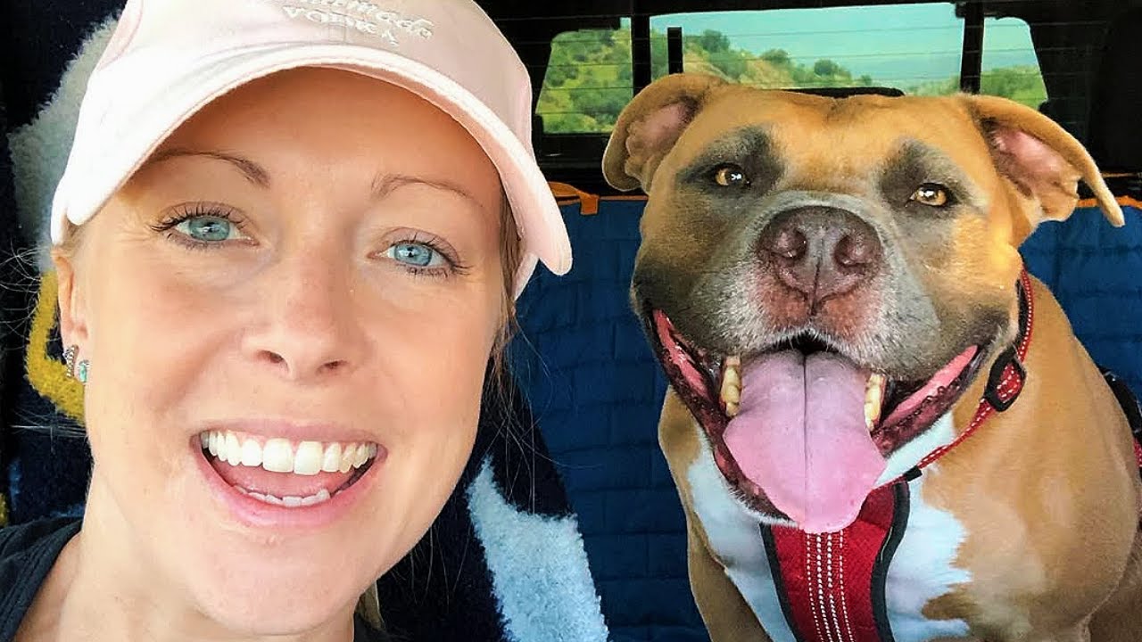 This Sweet Rescued Pit Bull Can't Stop Screaming With Happiness