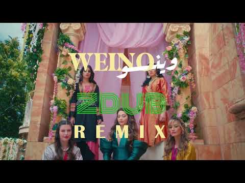 Dana Salah X ZDub - Weino Remix