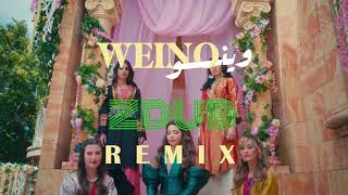 Dana Salah X ZDub - Weino Remix