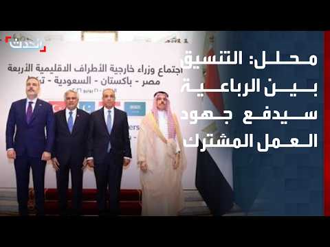 Analyst: Coordination between Saudi Arabia, Egypt, Turkey, and Pakistan will boost joint action e...