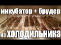 Инкубатор из холодильника