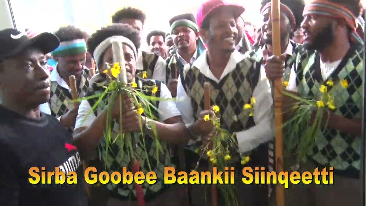 Goobee Artistootni bebbeekamoon Oromoo Baankii Siinqeetti yoo sirban