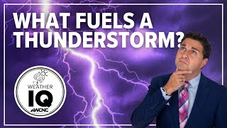 Weather IQ: What fuels a thunderstorm?