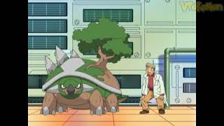 Torterra Attacks Professor Oak Professor Oak Funny Moments