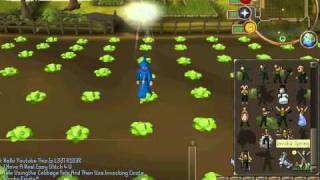 quickest rs glitch 2011