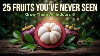Top 25 Most Rare &amp; Exotic Fruits in the World You Can Grow Indoors🌿