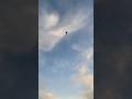 Katastrofa w Radomiu. Rozbił się samolot F-16.