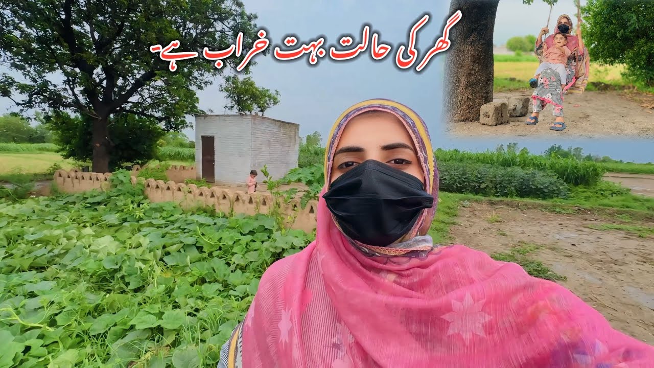 After 20 Days 😳 What happened ? Mudd House 🏠