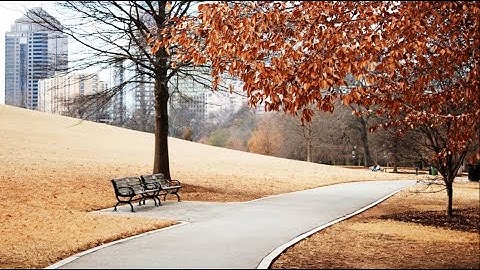 Mark Knopfler -The Fizzy And The Still -Subt Español-HD&HQ