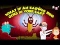 Understanding Earwigs and Their Myths