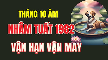 Tử vi tuổi Nhâm Tuất 1982, tháng 10 âm lịch, Tiền về chật két , báo hiệu tài chính có sự cải thiện