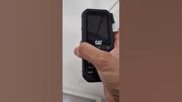 Cat phone #cat #phone #catphoto #catphone