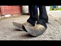 Trimming extremely long hooves on a shetland pony