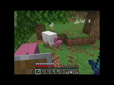 اجمل حظ بحياتي