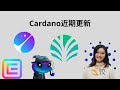 Cardano ada    