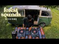 Carlos Rene Forest Sounds Sessions Rare Versions Vinyl Set Psychedelic Soul En El Atardecer Carlos Rene Forest Sounds Sessions Rare Versions Vinyl Set Psychedelic Soul En El Atardecer