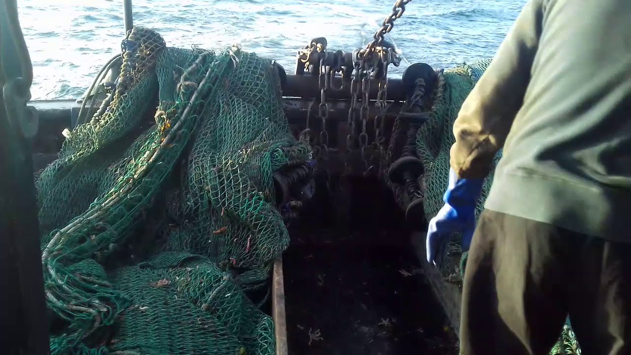 Shooting Twin Rig Fishing Gear YouTube