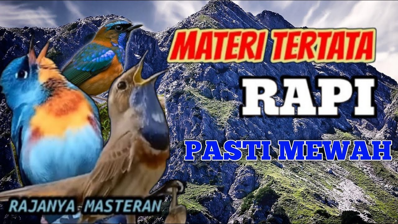 NGERI... MASTERAN TEMBAKAN SUPER PANJANG BURUNG AUTO JUWARA || terbaru 2025