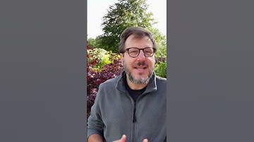 Autumn Leaf Clean Up Made Easy with the Greenworks 48V Blower Vacuum