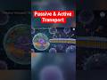 Passive vs Active Transport Explained! | How Molecules Cross Cell Membrane 🔥