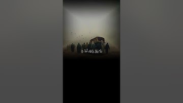 اكتب شي تؤجر عليه ♥️🎧  #سورة_البقرة #سورة_الكهف #سورة_الزمر #فارس_عباد