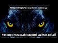 Неліктен Ислам дінінде итті шайтан дейді? Жәбірейлі періште оның иісінен жиіркенеді