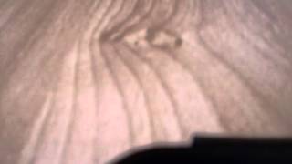 VID 1
