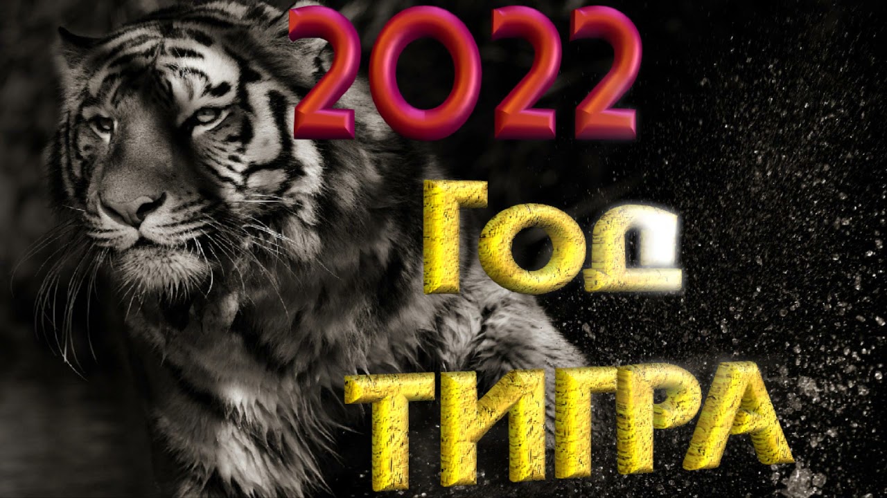 2022 год ТИГРА анимация.🐯 ТИГР.Тигра 2022.Заставка,футаж,интро,текст,надпись.Year of the Tiger